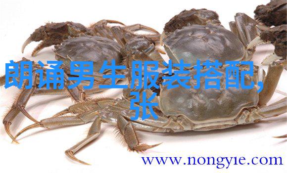依文 春日正暖 没有衬衫怎么型 nbsp
